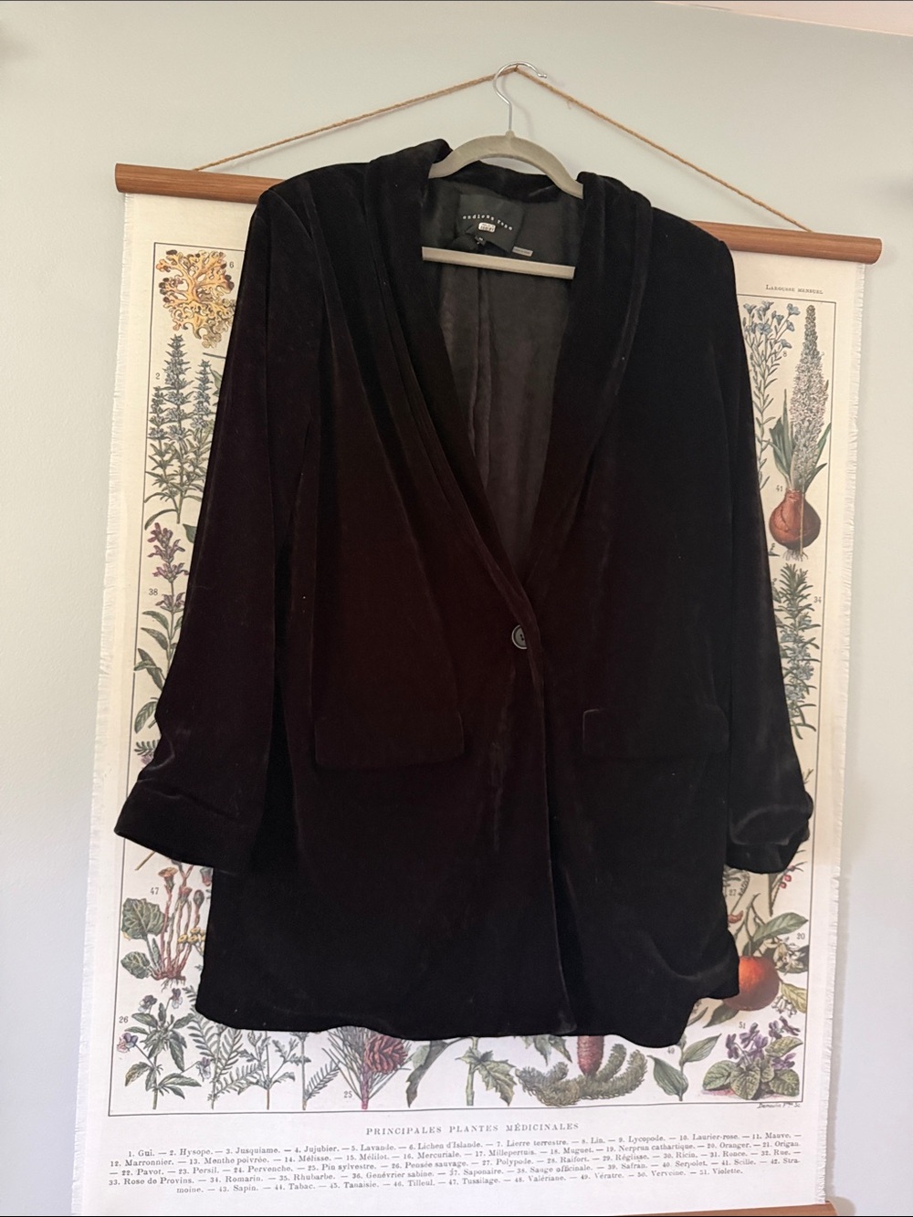 Anthropologie Black Velvet Single-Button Blazer long